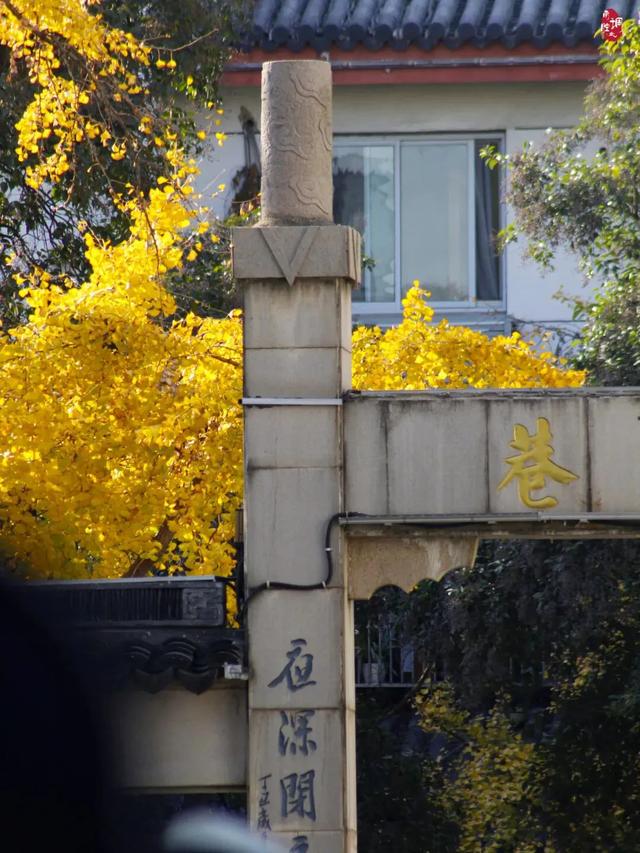 抓住秋天的尾巴！出发苏州这5个赏秋圣