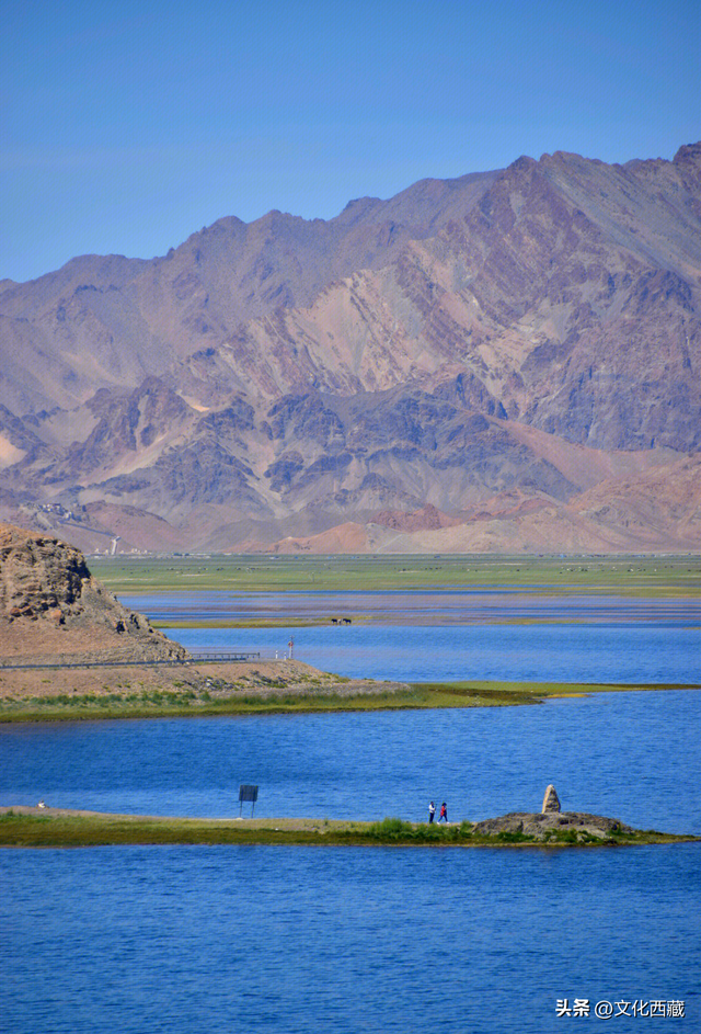 惊呆！西藏这个地方，一到秋天就美炸了！