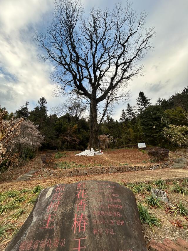 福建南靖土楼——石桥古村落