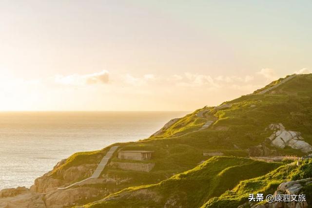 冬日寡淡？NO！看，花鸟岛的缤纷藏不住啦！