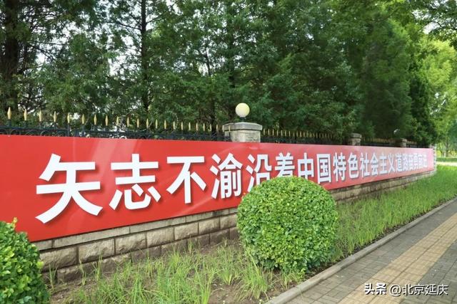鲜花装点～彰显美丽延庆红色基因和生态魅力——
