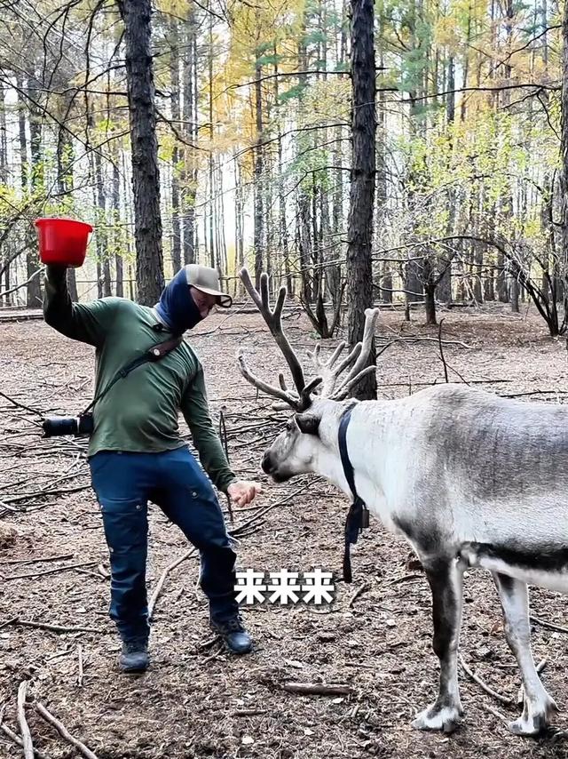 指南 | “李爸”涂松岩，竟在呼伦贝尔-58℃冷极偷偷干饭！