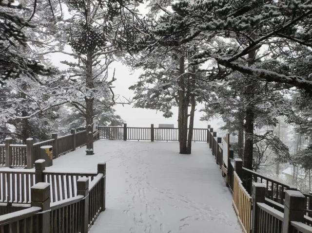 成都这里下雪啦！