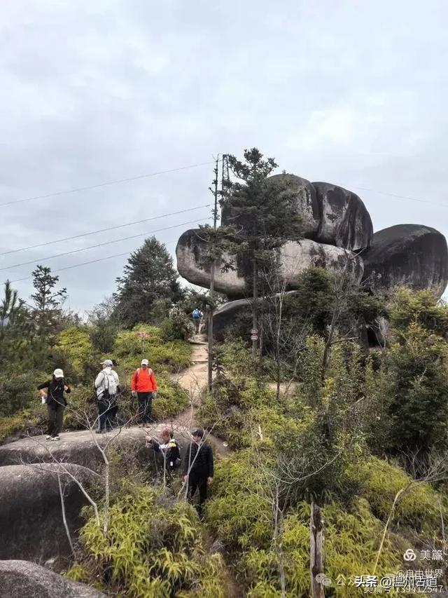 一步一景,奇石不断!温州这处奇石纷呈的的免费景区你可去过?