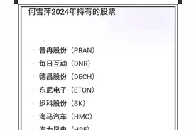 何雪萍，屠文斌，夏重阳等20位牛散大佬持仓情况一览值得收藏图片