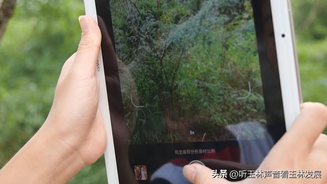 北流容心谷“探索自然之美，传诵诗韵风雅”主题研学活动广受好评