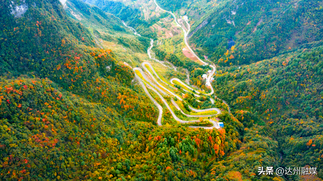 错过等一年！巴山大峡谷秋色刚开场，彩林已美成仙境！