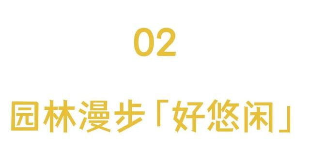 暂时闭馆前，再去金沙遗址看一眼太阳神鸟