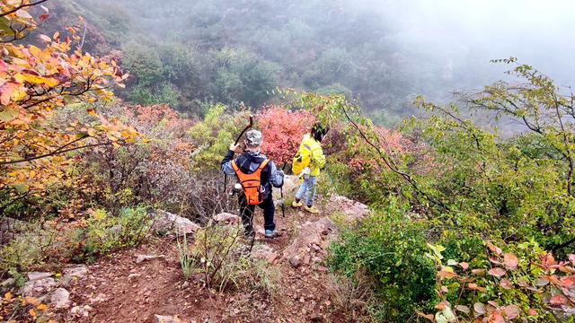 雾锁风挡山，红叶引客来