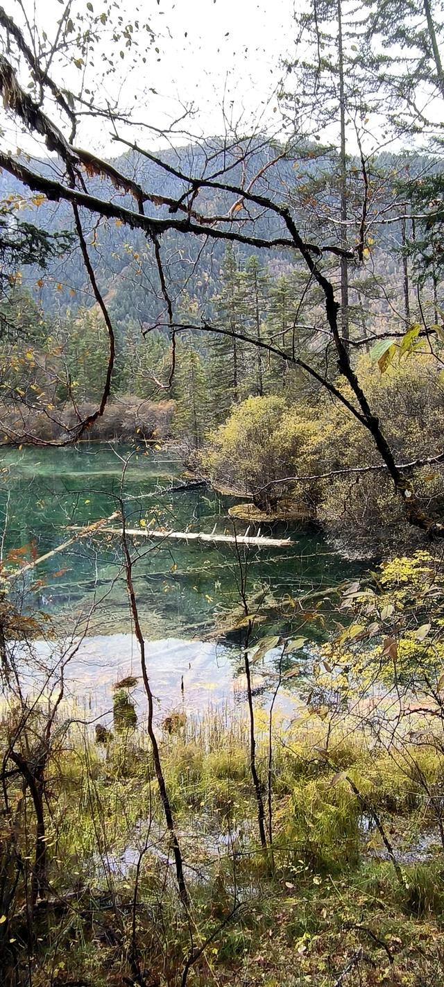 神仙池（一）竖幅