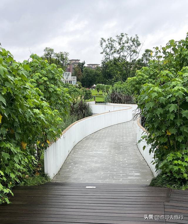 成都，最不可小看的公园，雨中超美，凉风阵阵，公共交通直达！