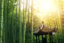 全部免费！苏州适合徒步的森林步道！图片