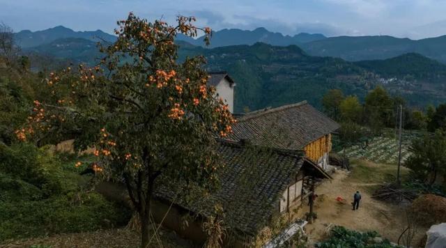 利州＝梦幻秋色打卡地