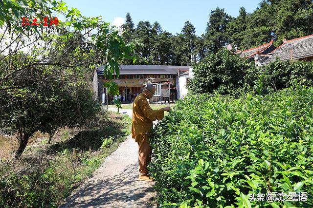 一脚踏三州，露营赏云海、观日出胜地