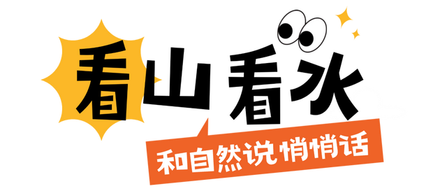 初秋的阿坝，风里都是自由的味道!