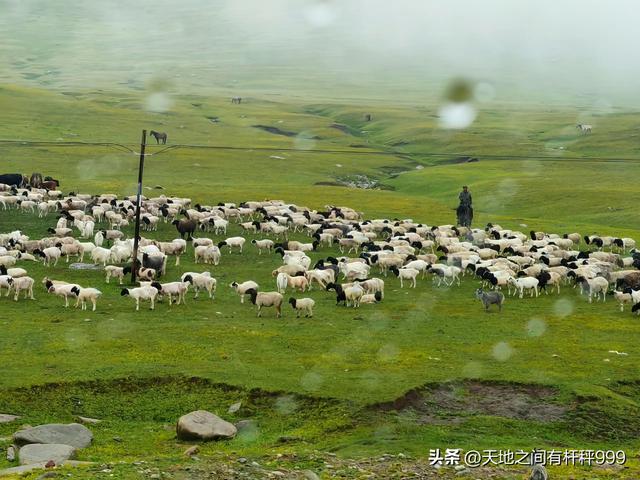 “西行漫记”一：16年后再进疆，实现了我家三代人的愿望