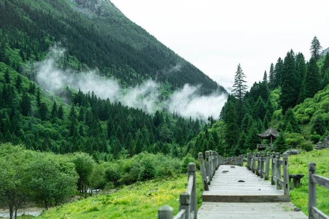 “高温请假指南”：如何骗老板你只是“头有点热”？