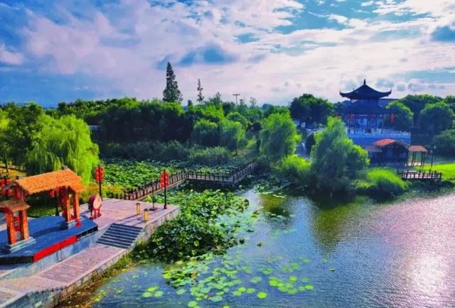 又到一年果香时！来盘城，不止葡萄采摘