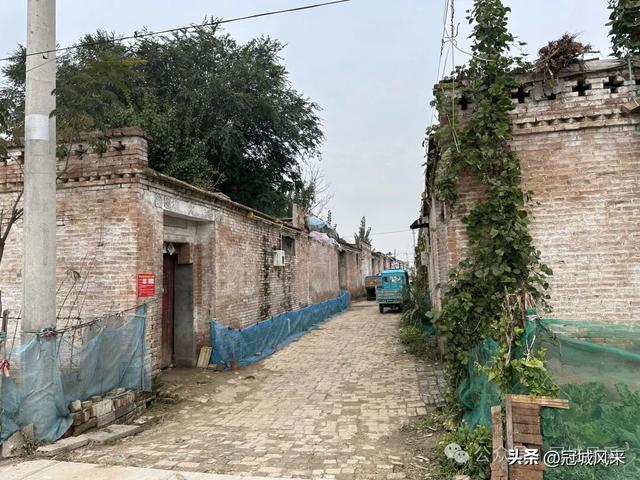 冠县乡韵·桑阿镇野场村