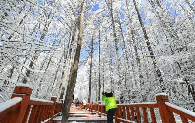 内蒙古三地冲进冬季旅游目的地TOP20！