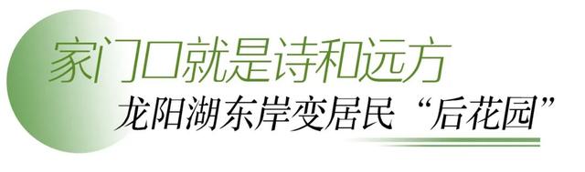 龙阳湖畔，潮玩一个接一个！