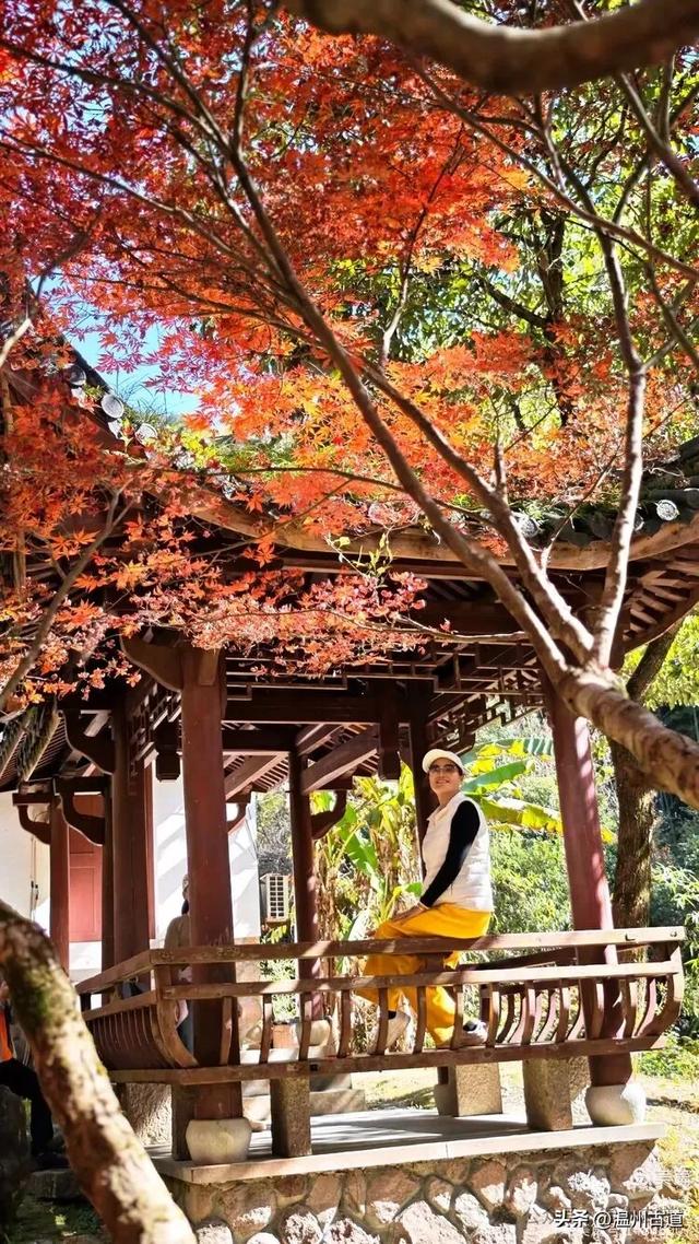 踏秋胜地,天脊龙门!浙江这个4A级景区已美成童话,等你来打卡