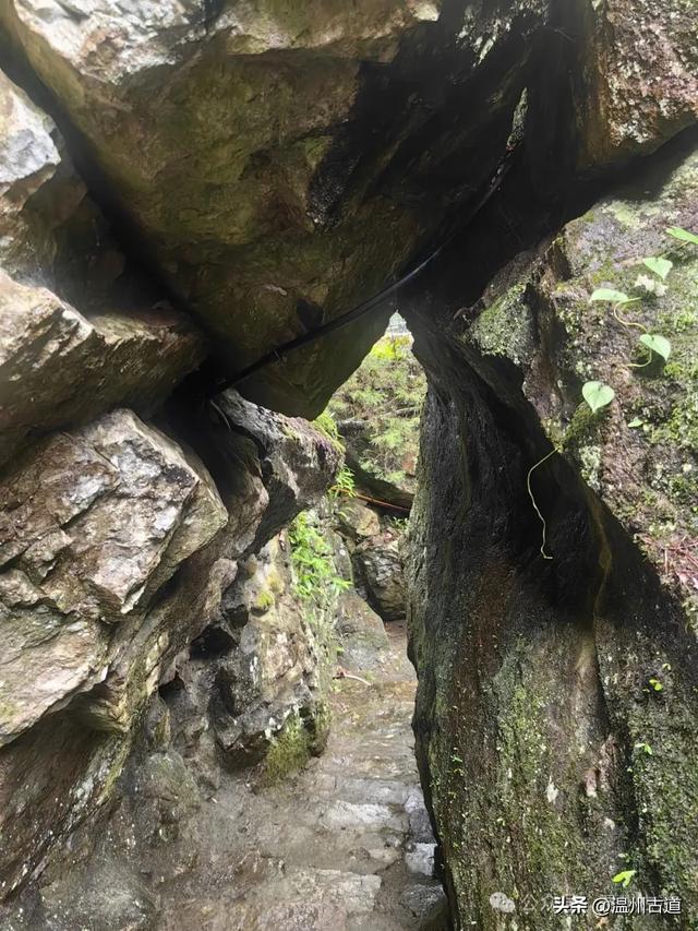 藏在浙南九寨沟里的红色秘境!可亲子徒步,在清溪飞瀑里寻凉意!