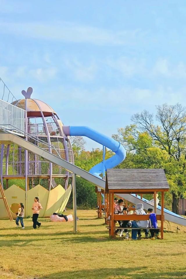 黄陂人的周末私藏：木兰玫瑰园里藏着最松弛的亲子时光！