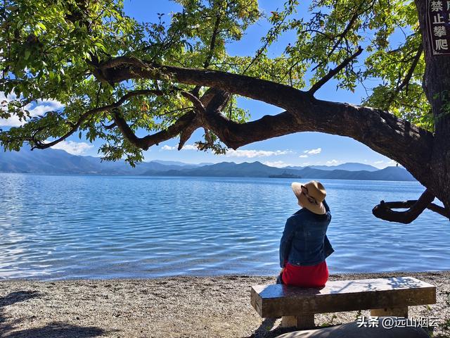 素人拍照如何拍出“人在景中	”的高级感？