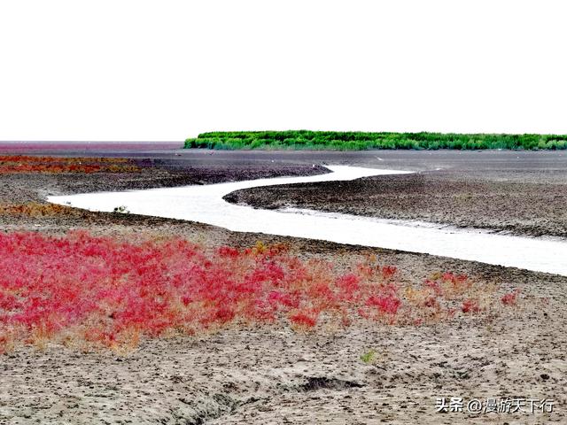 分享一个免费的红海滩，景色一点不差盘锦红海滩，