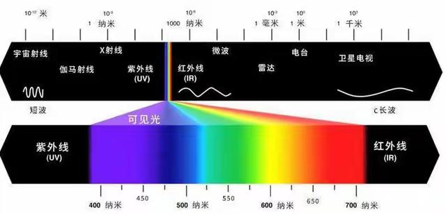 荷兰太无敌了，先断臂再自宫，真看不懂了