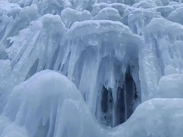 太美啦！包头一地进入最佳观赏期！