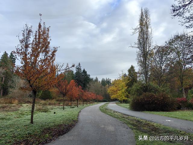 温哥华游记（一）