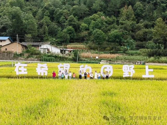 2025汉中秦岭熊猫音乐嗨唱季 | 佛坪稻田音乐季即将开演！内附旅游攻略，快码住→