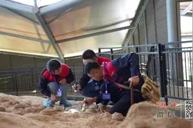 恐龙蛋化石共生的生命密码有望破解！十堰又有重大发现，世界罕见！图片