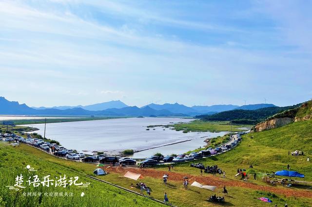 宁波居然有小伊犁？原来是海边的网红露营地，不过评价呈两极化