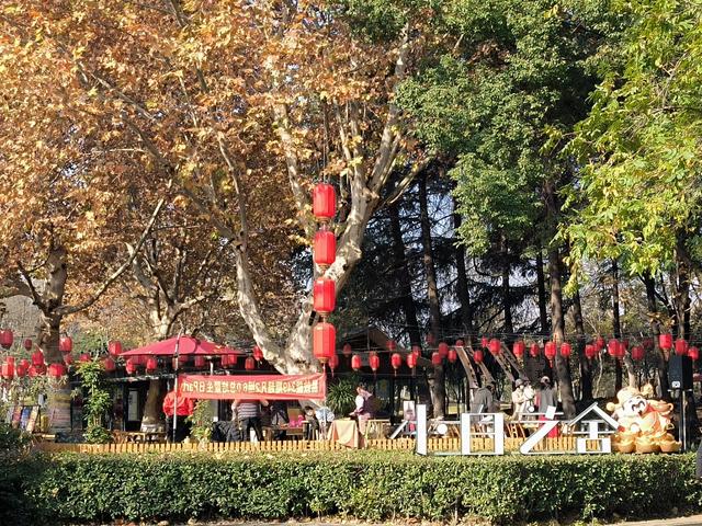 行走在月湖公园