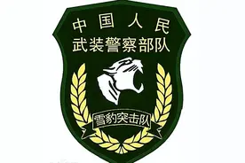 中国4大特种部队，光听名字就令人胆寒，战力直逼美俄部队图片