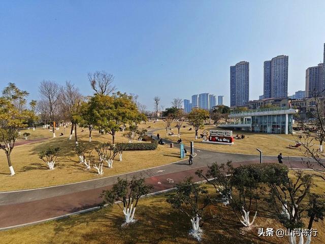 成都亲子轻徒步｜金牛区锦江绿道一日漫游全攻略