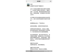 MEGA交付，李想反击图片