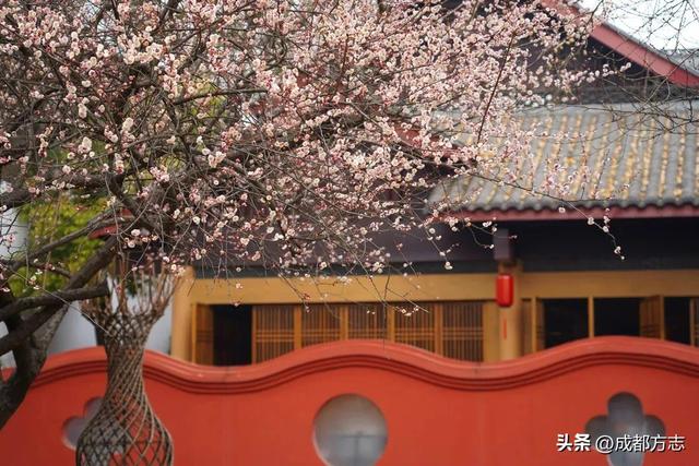 来来来！看哈成都一环路有哪些文化IP →