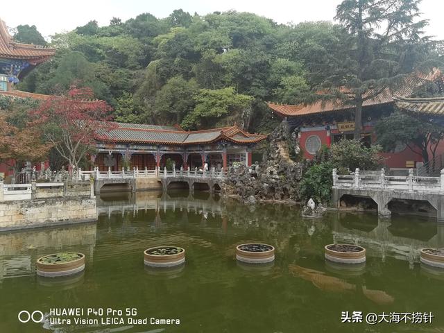 云南行·记·昆明篇D2 翠湖公园+昆明老街一日游意外多多