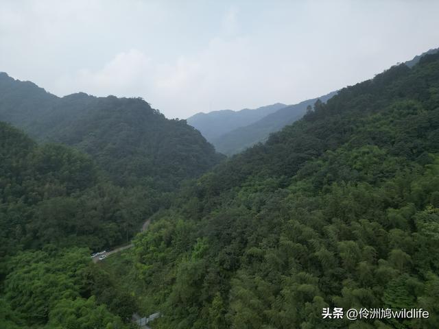 成都徒步（69）·彭州篇⑯法藏寺环线（桥断未走通）