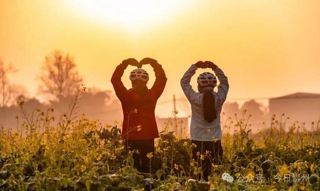 崇州第一波油菜花开了，在这里……