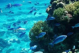 吃掉同伴的少年：1884年食人审判如何撕裂英国社会？图片