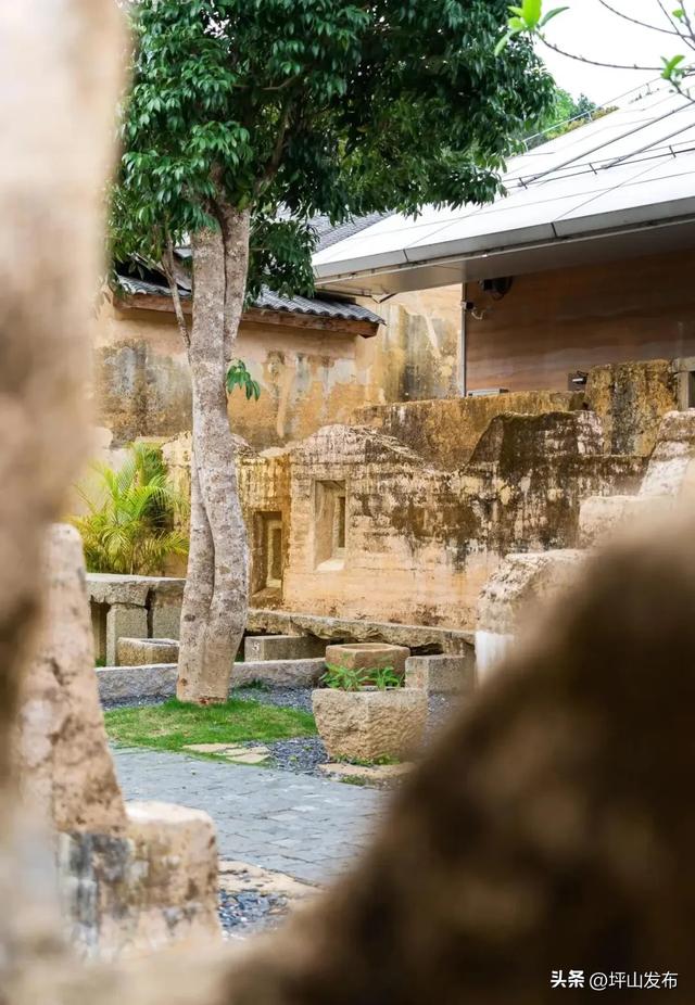 “都市栗人” 指南:坪山寻景品咖、暖过秋冬