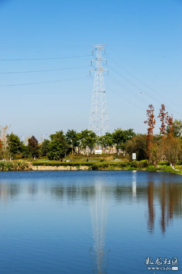 昆明草海公园：滇池边的诗意栖居