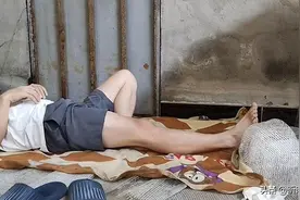 广东桥洞住客揭秘：无房贷零负担，简单生活引关注图片