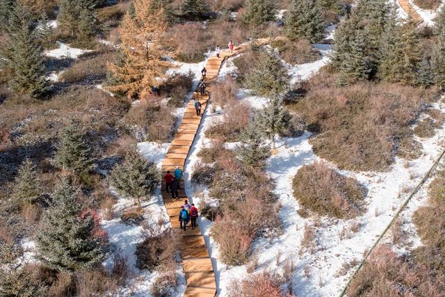 祁连山下燃激情——2025年“双11”全国持杖行走联动日（张掖肃南站）活动成功举办