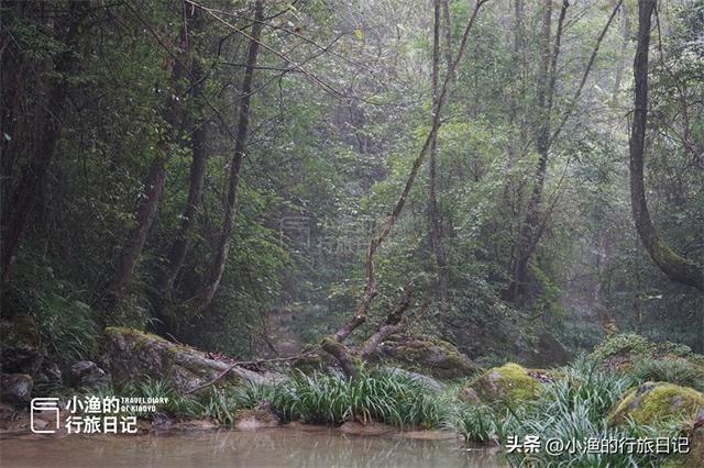 陕西秦岭腹地幽谷秘境，媲美5A金丝峡，养在深闺知道的人不多
